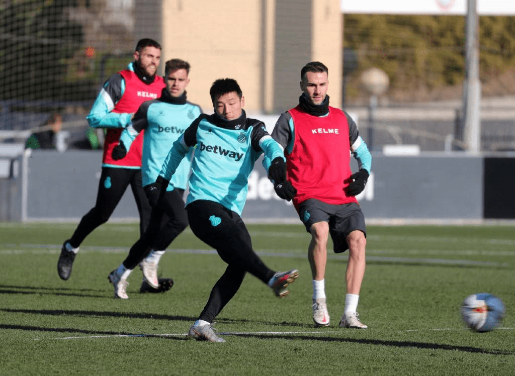  托特纳姆热刺对布赖顿 -满冠